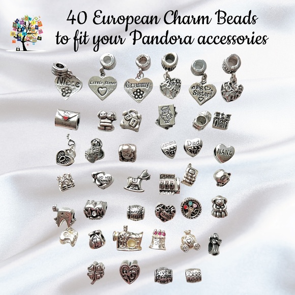 Dragonfly Spirit Designs Jewelry - 40 Themed European Charm Beads in Silverplate Set of 40 All Different!